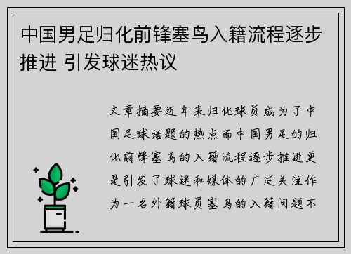 中国男足归化前锋塞鸟入籍流程逐步推进 引发球迷热议